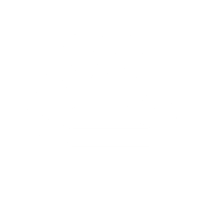 LeanLinking SRM platform